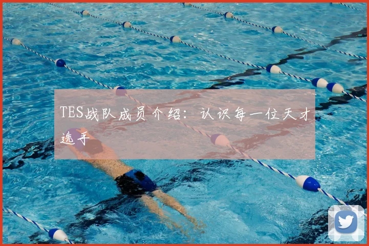 TES战队成员介绍：认识每一位天才选手